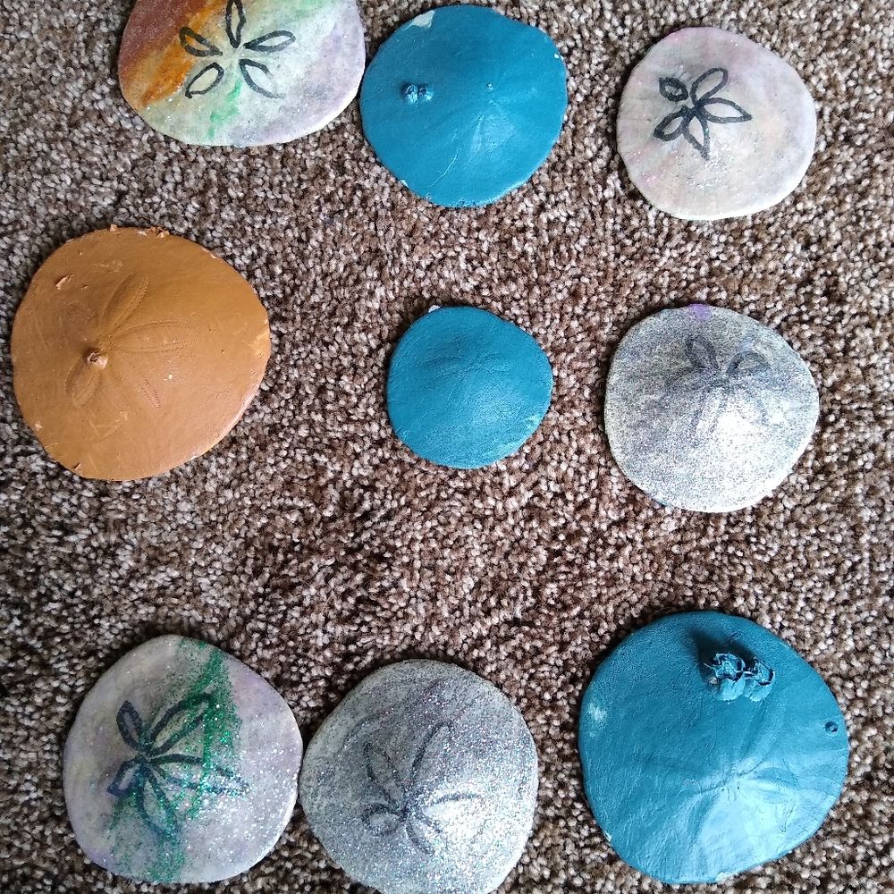 Set of 12 real sand dollars some painted